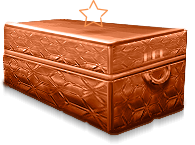 Бронзовый кейс